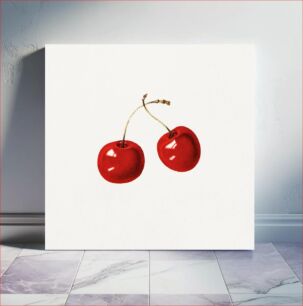 Πίνακας, Vintage red cherries illustration