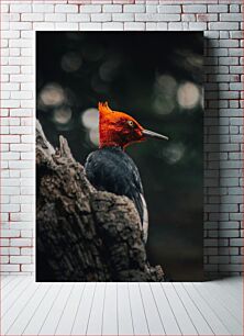 Πίνακας, Vivid Woodpecker on a Tree Ζωντανός δρυοκολάπτης σε ένα δέντρο