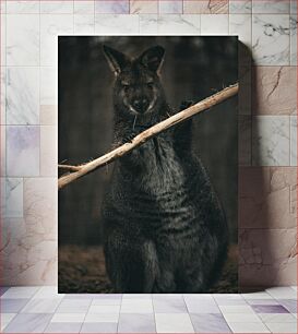 Πίνακας, Wallaby Holding a Stick Ο Wallaby κρατά ένα ραβδί