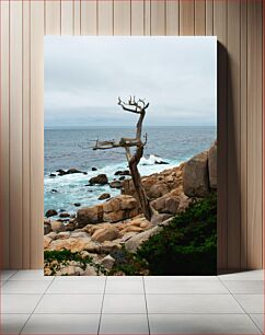 Πίνακας, Waves Crashing Against Rocky Shore with Lone Tree Κύματα που συντρίβουν ενάντια στη βραχώδη ακτή με το μοναχικό δέντρο