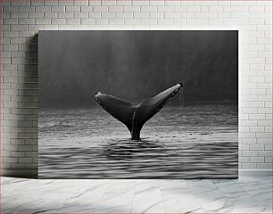 Πίνακας, Whale Tail in Black and White Ουρά φάλαινας σε μαύρο και άσπρο