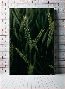 Πίνακας, Wheat in the Field Σιτάρι στο χωράφι