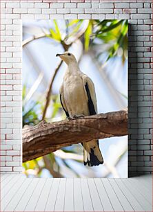 Πίνακας, White Bird on a Branch Λευκό πουλί σε ένα κλαδί