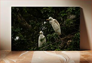 Πίνακας, White Birds in Dense Foliage Λευκά Πουλιά σε Πυκνό Φύλλωμα