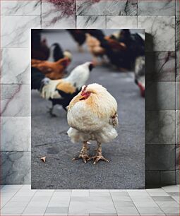 Πίνακας, White Chicken on Road Λευκό κοτόπουλο στο δρόμο