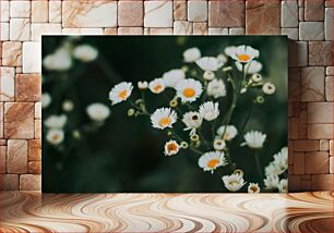 Πίνακας, White Daisies in Bloom White Daisies in Bloom