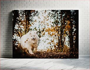 Πίνακας, White Dog in Autumn Forest Λευκό σκυλί στο φθινοπωρινό δάσος