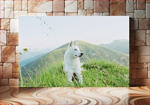 Πίνακας, White Dog in Mountainous Meadow Λευκός Σκύλος στο Ορεινό Λιβάδι