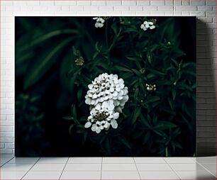 Πίνακας, White Flowers in Greenery Λευκά λουλούδια στο πράσινο