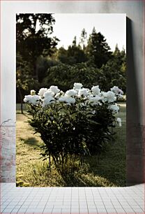 Πίνακας, White Flowers in the Garden Λευκά λουλούδια στον κήπο