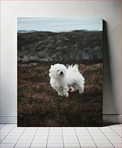 Πίνακας, White Fluffy Dog in Natural Setting Λευκό χνουδωτό σκυλί σε φυσικό περιβάλλον