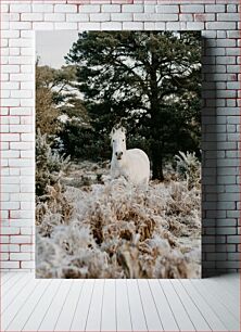 Πίνακας, White Horse in a Frosty Forest Λευκό Άλογο σε ένα παγωμένο δάσος