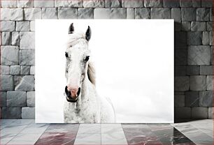 Πίνακας, White Horse in Minimalist Background Λευκό Άλογο σε μινιμαλιστικό φόντο