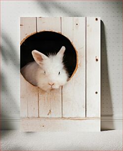 Πίνακας, White Rabbit in Wooden Enclosure Λευκό κουνέλι σε ξύλινο περίβλημα