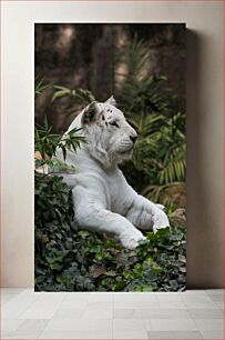 Πίνακας, White Tiger in Natural Habitat Λευκή Τίγρη σε φυσικό βιότοπο