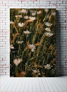 Πίνακας, Wild Daisies in the Meadow Άγριες Μαργαρίτες στο Λιβάδι