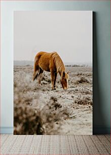 Πίνακας, Wild Horse Grazing Βόσκηση άγριων αλόγων