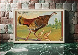 Πίνακας, Wild Turkey, from the Game Birds series (N13) for Allen & Ginter Cigarettes Brands