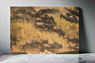 Πίνακας, Wildebeest Migration Wildebeest Migration