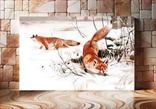 Πίνακας, Wilhelm Kuhnert's Common foxes in the snow (1893)