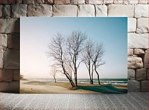 Πίνακας, Winter Beach Trees Winter Beach Trees