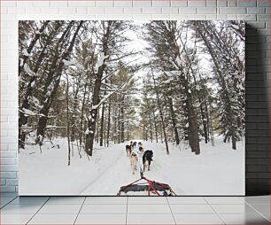 Πίνακας, Winter Dog Sledding in the Forest Χειμερινό έλκηθρο σκύλου στο δάσος