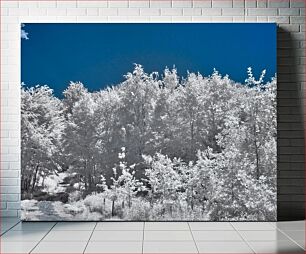 Πίνακας, Winter Forest Path Χειμερινό Δασικό Μονοπάτι