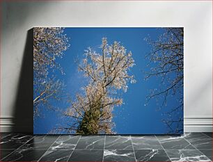 Πίνακας, Winter Trees Under Blue Sky Χειμερινά δέντρα κάτω από το γαλάζιο του ουρανού