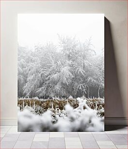 Πίνακας, Winter Wonderland Χειμερινή χώρα των θαυμάτων