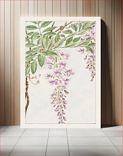 Πίνακας, Wisteria vine with leaves and blossoms during 1870–1880 by Megata Morikaga