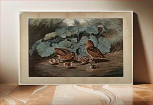 Πίνακας, Woodcocks, Smithsonian National Museum of African Art