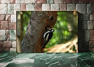 Πίνακας, Woodpecker Feeding Chick Δρυοκολάπτης που ταΐζει νεοσσό