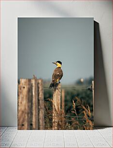 Πίνακας, Woodpecker on Fence Post Δρυοκολάπτης στο Fence Post