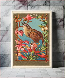 Πίνακας, Wren, from the Birds of America series (N4) for Allen & Ginter Cigarettes Brands, issued by Allen & Ginter