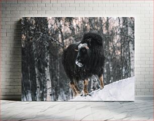 Πίνακας, Yak in Winter Forest Yak στο χειμερινό δάσος