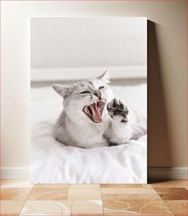 Πίνακας, Yawning Cat Χασμουρητό Γάτα