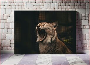 Πίνακας, Yawning Wildcat Χασμουρητό αγριόγατα