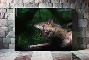 Πίνακας, Yawning Wolf Χασμουρητό Λύκος