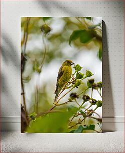 Πίνακας, Yellow Bird on Branch Κίτρινο πουλί στο κλαδί