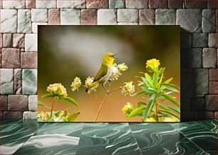 Πίνακας, Yellow Bird on Flowering Branch Κίτρινο πουλί σε ανθισμένο κλαδί