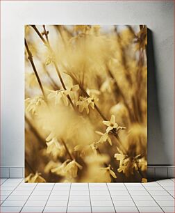 Πίνακας, Yellow Blossoms in Focus Κίτρινα άνθη στο επίκεντρο