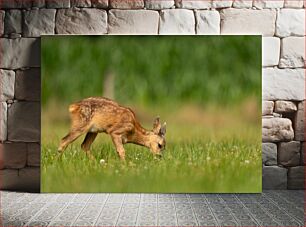 Πίνακας, Young Deer Grazing Νεαρά ελάφια που βόσκουν