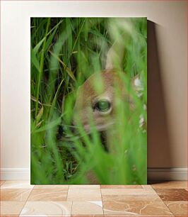 Πίνακας, Young Deer Hiding in Grass Νεαρό ελάφι που κρύβεται στο γρασίδι