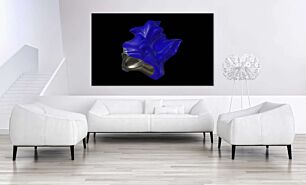 Πίνακας, μια τρισδιάστατη εικόνα ενός μπλε λουλουδιού σε μαύρο φόντο