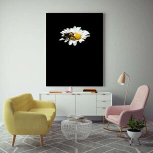 Πίνακας, μια μέλισσα κάθεται πάνω από ένα λευκό λουλούδι