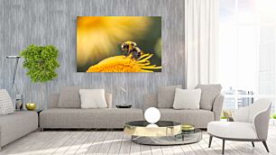 Πίνακας, μια μέλισσα κάθεται πάνω από ένα κίτρινο λουλούδι