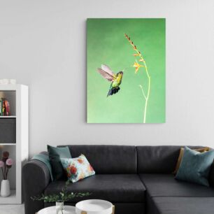 Πίνακας, ένα πουλί που πετά κοντά σε ένα λουλούδι