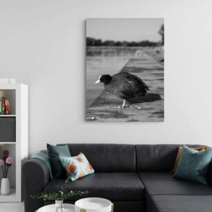 Πίνακας, μια ασπρόμαυρη φωτογραφία ενός πουλιού δίπλα στο νερό