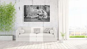 Πίνακας, μια ασπρόμαυρη φωτογραφία ενός σκύλου που μασάει ένα κλαδί