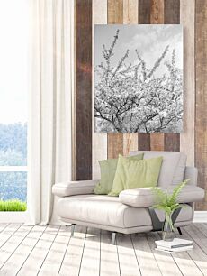 Πίνακας, μια ασπρόμαυρη φωτογραφία ενός ανθισμένου δέντρου
